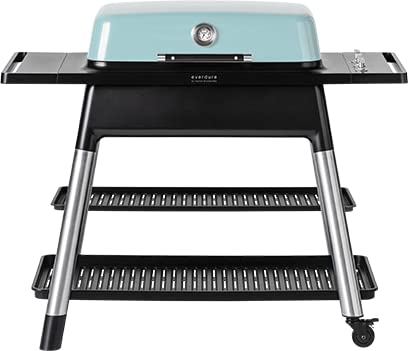 Everdure HBG3MDE FURNACE? Gasgrill Mint