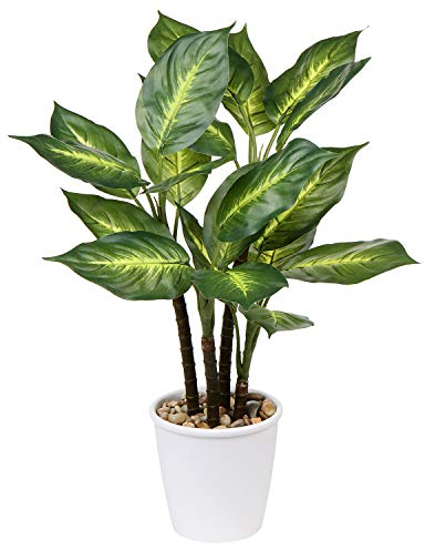 Briful Piante artificiali grandi da 63 cm, alte 63 cm, piante finte Dieffenbachia Camille, piante artificiali decorative per esterni, piante finte da interno per ufficio, casa, giardino, decorazione