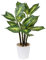 Briful Piante artificiali grandi da 63 cm, alte 63 cm, piante finte Dieffenbachia Camille, piante artificiali decorative per esterni, piante finte da interno per ufficio, casa, giardino, decorazione