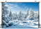 AIIKES 7x5FT Schneelandschaft Hintergrund Winter Wald Schnee Baum Fotografie Hintergrund Outdoor Himmel Winter Schneefeld Landschaft Schneebedeckte Kiefern Fotostudio Requisiten 12-346