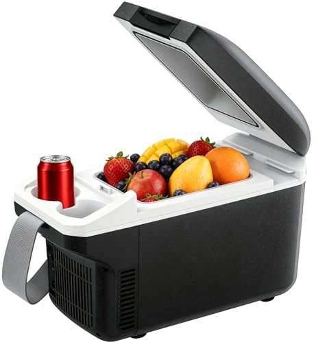Iceblue Small Electric Cooler, 8 Liter /11 Cans Car Refrigerator (Black) | Type-C Portable Iceless Cooler, Electric Car Cooler with Belt, Dual-use Mini Fridge for Car, Picnic, Camping, Home, Gift