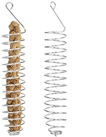 DONGKER 2 soportes para golosinas de loro, pinchos de acero inoxidable para loros, periquitos, cacatúas