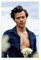 Harry Styles Poster (51) Leinwand Poster Wandkunst Dekor Druck Bild Gemälde für Wohnzimmer Schlafzimmer Dekoration ungerahmt 20 x 30 cm