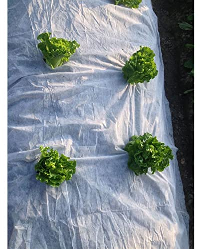 Benelando Frühbeet Vlies 8m Frühbeetvlies Gartenvlies Pflanzenvlies Wintervlies Frost (3X Vlies)