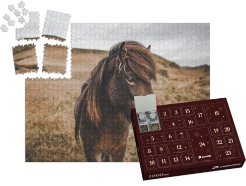 puzzleYOU: Puzzle-Adventskalender | „Wunderschönes Island-Pferd in Nahaufnahme“ – aus der Puzzle-Kollektion Pferde, Islandpferde