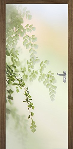 Türposter BLÄTTER 87x200cm Türfolie Türtapete Licht Garten Natur 765tp