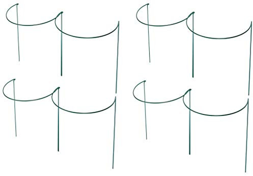 RUDDINGS WOOD Pack of 8 x Large 60cm high Garden Metal Plant Hoops - Border Half Hooped Flower Bow Supports