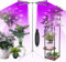 Lampada per Piante con Treppiede,Lampada Piante Coltivazione Lampada da Piante a Spettro Completo Regolabile in Altezza 3 Modalità 9 Luminosità con 3H/9H/12H Timer Automatici per Frutta Verdure