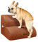 Deconovo rutschfest Hunderampe mit Waschbar Bezug, Hundetreppe für Kleine Hunde 2 Stufen, Abnehmbare Hunderampe Haustierrampe, Treppe für Haustiere Katzentreppe für Sofa Bett, 40x40x30 cm, Braun