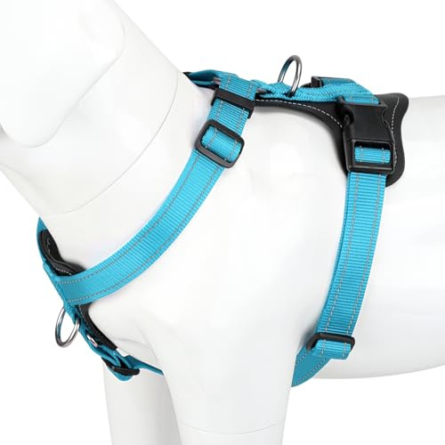 Plutus Pet No Pull Dog Harness with Leather Accents, Adjustable Reflective | Heavy Duty Nylon Pet Vest, for Training and Hiking, Front Clip, Easy Walk for Small Medium Large Dogs, Light Blue, L
