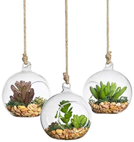 VOSAREA 4 Stück Glas Vase zum Aufhängen Blumentöpfe Pflanzgefäß Home Dekoration