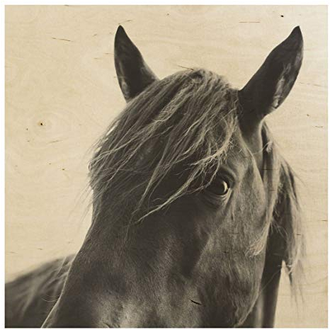 Bilderwelten Holzbild - Neugieriges Pferd, 45cm x 45cm