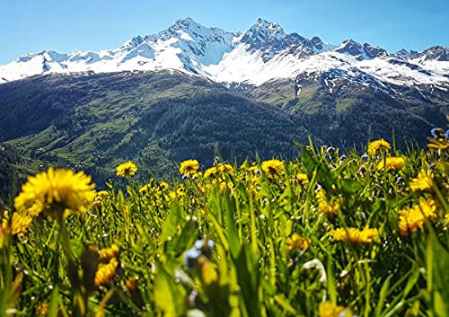 CALVENDO Poster 42,0 x 29,7 cm Querformat St Moritz, Schweiz| Bilder, Kunstdruck, Wandbild, Wanddeko, Prints ohne Rahmen