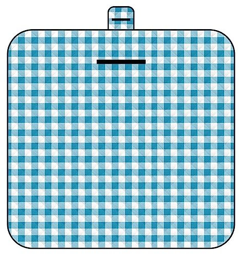 TengYuer Picknickdecke wasserdicht, große Picknick Decke 100x150cm Sanddicht Picknickdecke Strandmatte Leicht und Tragbar für Strand Park Wandern Camping Großartig Familienreisen Blau Weiß Kariert