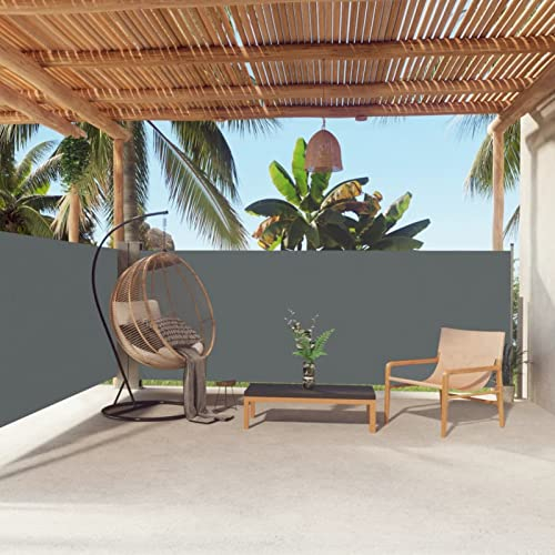TANZEM Seitenmarkise Ausziehbar, Windschutz Terrasse, Balkon Windschutz, Balkon Sichtschutz, Sichtschutz Zaun, Sichtschutzzaun, Markise Balkon, Sichtschutzwand, Anthrazit 140x600 cm