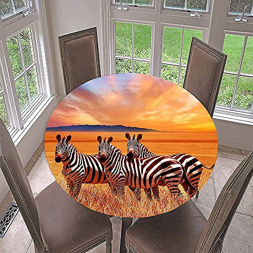 Runde Tischdecke Garten Abwaschbar, Fansushop 3D Motiv Serie Fleckschutz Tischdecken Größe wählbar für Gartentisch, Outdoor in Kiche, Haushalt & Wohnen (Zebra,Durchmesser 170cm)