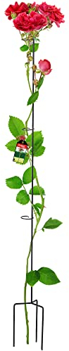 KADAX Support de Plantes en Acier sur Pied pour Roses, Plantes grimpantes, Lierre de Jardin résistant aux intempéries, Support pour Plantes grimpantes, Support de Rangement Noir Höhe: 140 cm Noir