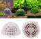 Umweltfreundliches Aquarium Moosball Aquarium Moosball Garnelenbecken für Aquarium