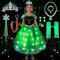 COYBTO Robe Princesse Fille LED Reine des Neiges Anna avec Perruque Lumineuse, Couronne et Ensemble, Déguisement Elsa pour Carnaval