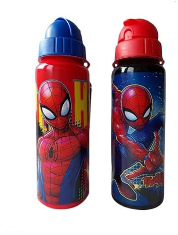 Gourde Spiderman Marvel 550 ml Aluminium