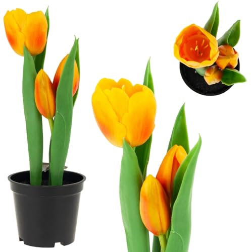 Martom TULPEN TULPEN GUMMIERTE Blumen ALS LIVE Premium IM Topf ORANGE Kunsttulpe Einzelblumen Kunstblumen Blumen Tischdeko Dekoration Stielblume