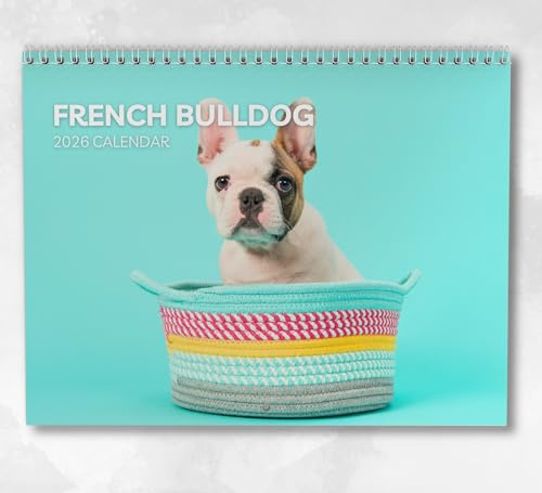 Kalender 2026 Französische Bulldogge Monatlicher Wandkalender mit Notizen, hängend im A4-Format, inklusive Schlüsseldaten & Feiertagen