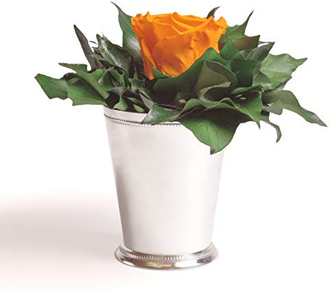 ROSEMARIE SCHULZ Heidelberg Infinity Blume in silberfarbenen Becher 1 ewige Rose konserviert Blumenstrauß langhaltend (Gelb, 1 Rose)