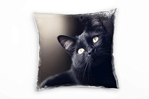 Paul Sinus Art Tiere, Katze, grüne Augen, schwarz Deko Kissen 40x40cm für Couch Sofa Lounge Zierkissen - Dekoration zum Wohlfühlen