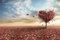 SUPERPOWER® 1000 Pieces Sunset Red Maple Leaves Heart Couple Lover Christmas Birthday Gifts Wooden Jigsaw Puzzles
