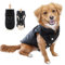 Eastlion Winter Hundemantel Warm Wasserdicht Hundejacke Welpen Hunde Weste Bekleidung Kleidung mit D-Ring,Schwarz,Größe M