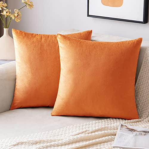 EMEMA Samt Kissenbezug Herbst Kissenhülle Dekorative Dekokissen Sofakissen 45x45 cm Lendenkissen Wurfkissenbezug mit Verstecktem Reißverschluss Schlafzimmer Sofa 2er Set Orange