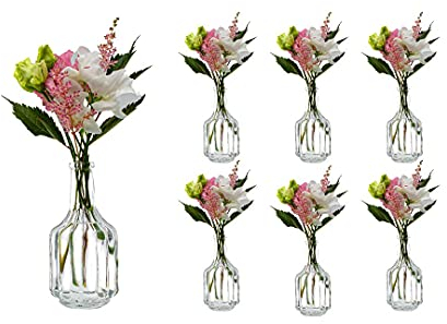 casavetro 6 x kleine Vasen Glasflaschen HALSI Glasfläschchen Landhaus Vintage Vase Flasche Glas klar Mini Dekoflaschen (6 Stück)