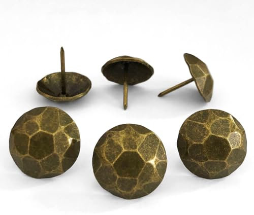 60 chiodi decorativi da 2,5 cm, diametro 25 mm x lunghezza 25 mm, design vintage, chiodi decorativi di grandi dimensioni, per porte di fienili, persiane per fattoria (tartaruga in ottone da 25 mm)