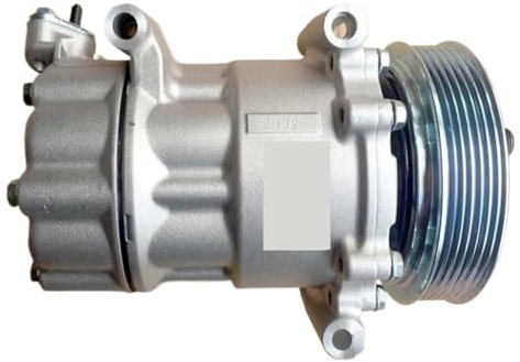 Compatibile con compressore aria condizionata Peugeot 206 206 307 1007 Partner Citroen C2 C3 Sd6v12 6453XJ 6453QG 6453QE 6453QH 9655191680