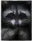 HommomH Waschbär-Decke, Tiermuster, Digitaldruck, Fleece, Überwurf 127 x 203 cm, Schwarz