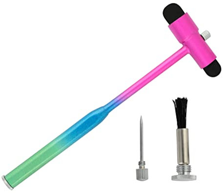 Innotech Marteau à réflexes neurologiques après Buck avec pinceau et aiguille pour les reflets cutanés et les réactions de surface (rose-bleu-vert)
