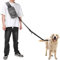 Pecute Laisse Canicross Sacoche，Mains Libres Chien Jusqu'à 110kg Absorption de Choc, Confortable Couture Réfléchissante, Idéal pour Course à Pied, Jogging et Marche
