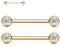 AROWRO 14G Brustwarzenstäbe Nippelpiercing-Schmuck 12mm Zungenstege Zungenpiercing Nippelringe mit Innengewinde Zungenstegpiercing Brückenpiercing-Schmuck Titanium Gold