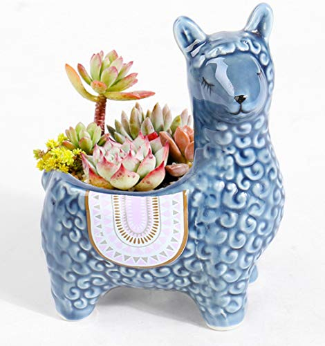 SELLONWANELO Süße Alpaka Sukkulentententöpfe Keramik Übertopf klein Kaktus Blumentopf dunkelblau