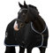 EQUILYX® Abschwitzdecke Pferd mit beidseitig abnehmbaren Kreuzgurten extra dick [perfekte Passform] Fleecedecke Stalldecke Transportdecke wärmend feuchtigkeitsabsorbierend atmungsaktiv (Schwarz, 155)
