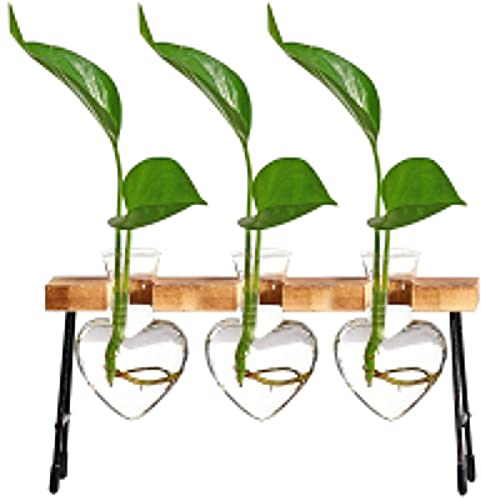 Fowybe Pflanzenvermehrungsstation Terrarium, Tischkübel aus Glas mit Holzständer für Hydrokultur, Blumenzwiebel-Vase-Herz-Pflanzenterrarium für Home-Dekor