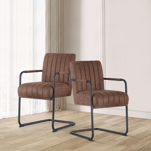 DUBI Möbel Esszimmerstuhl Ben 2er Set, Freischwinger Armlehnenstuhl Polsterstuhl für Küche, Wohnzimmer, Esszimmer Büro, modern Industrial Design, Wildleder Braun, 2 Stück, 21106-YU42-2