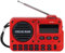 Radio Portátil Pequeña FM, Radio Digital de Bolsillo con batería Recargable, reproducción MP3 Mediante U o TF, con Altavoz y Salida para Auriculares