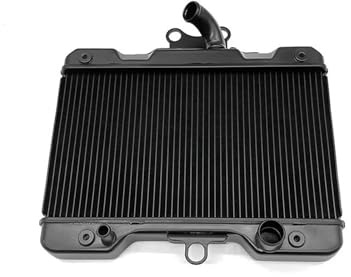STRIVING BIRD Protector De Rejilla para Radiador De Motocicleta H*Onda Rebel 1100 CMX1100 CM1100 CM CMX 1100 2021-2024 Radiadores para Moto