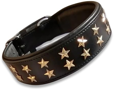 IULIUS Hundehalsband aus echtem Leder, Punk-Stil mit Nieten, für große Rassen, XL, 5 cm breit, 45-55 cm verstellbar, Gold/Silber (Schwarz, Mittel-Large)
