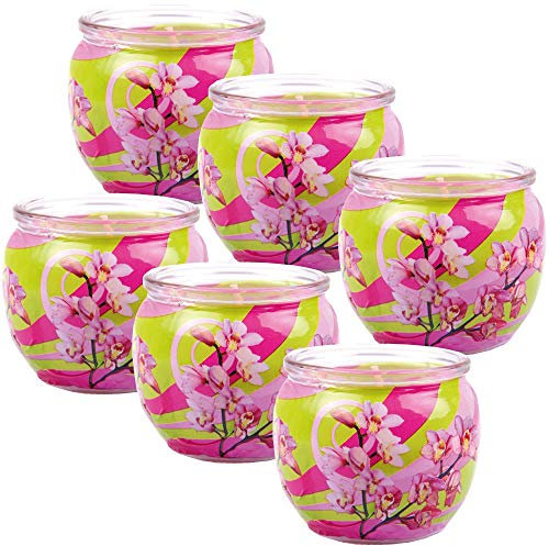 HS Candle Duftkerzen Motiv 6er Pack im Glas, lange Brenndauer und angenehmer Duft (Blütenzauber)