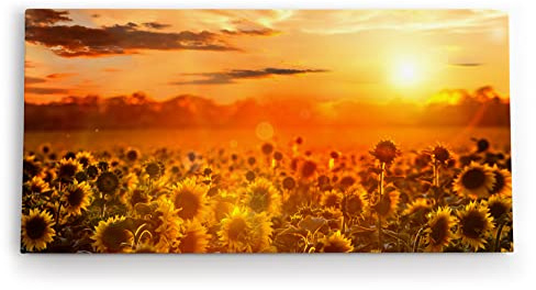 Paul Sinus Wandbild 120x60cm Sonnenblumen Blumenfeld Sonnenblumenfeld Sonne Gelb