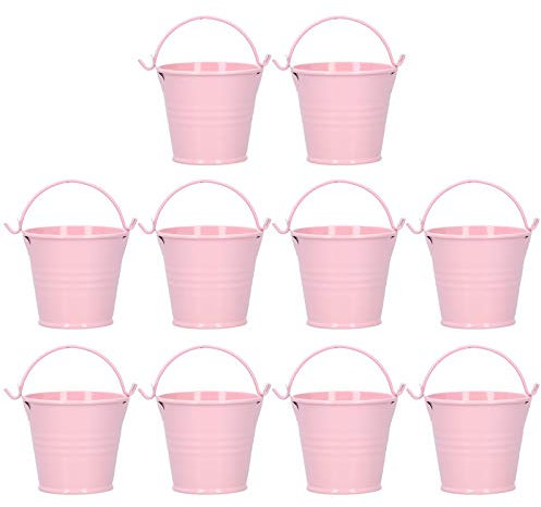 Tyenaza 10 Stück Metall-Blumentöpfe, Blumentopf, Mini-Sukkulenten-Blumentopf, Kleiner Metalleimer, Garten-Sukkulenten-Kaktus-Behälter für drinnen und draußen, Hochzeit, Party, (4 * 5.5 * 6)