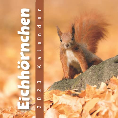 Eichhörnchen Kalender 2023: 12-Monats-Kalender von Januar 2023 bis Dezember 2023 - Behalten Sie den Überblick über wichtige Details, Notizen und Termine