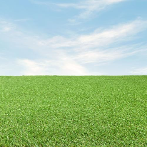 Steffensmeier Kunstrasen Stirling | Sonnenstunden: 15.000 | 24 mm | Outdoor | Meterware | wasserfest | Grün, Größe: 400x2500 cm